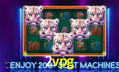 Experiência VIP 2vpg